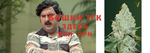 дурь Белокуриха