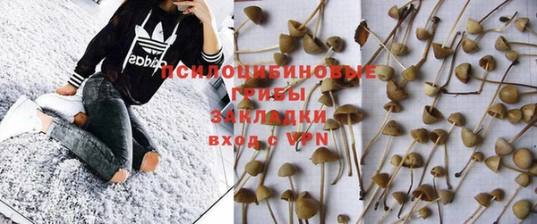 соль ск Белоозёрский
