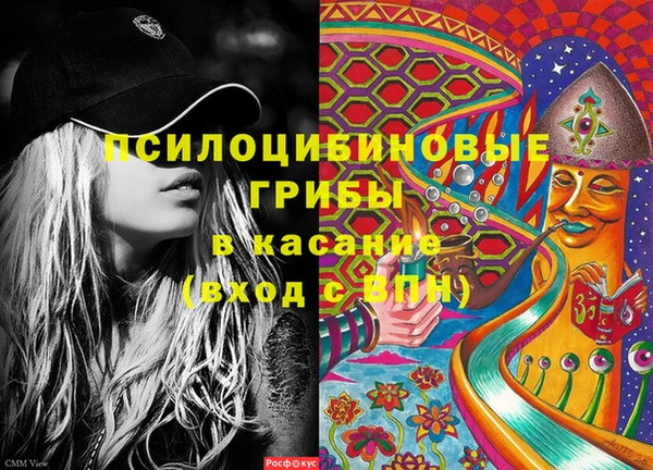 дурь Белокуриха