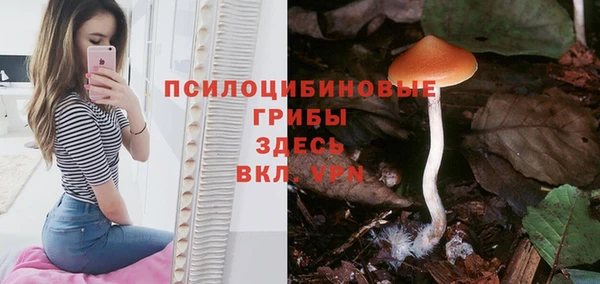 соль ск Белоозёрский